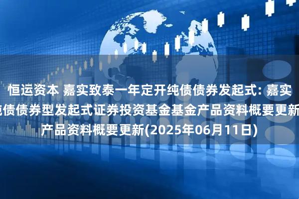 恒运资本 嘉实致泰一年定开纯债债券发起式: 嘉实致泰一年定期开放纯债债券型发起式证券投资基金基金产品资料概要更新(2025年06月11日)
