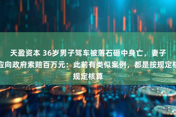 天盈资本 36岁男子驾车被落石砸中身亡，妻子回应向政府索赔百万元：此前有类似案例，都是按规定核算