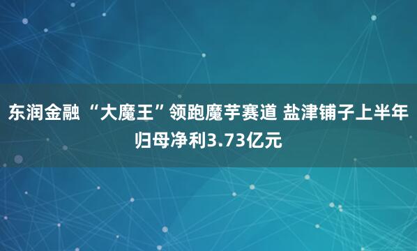 东润金融 “大魔王”领跑魔芋赛道 盐津铺子上半年归母净利3.73亿元