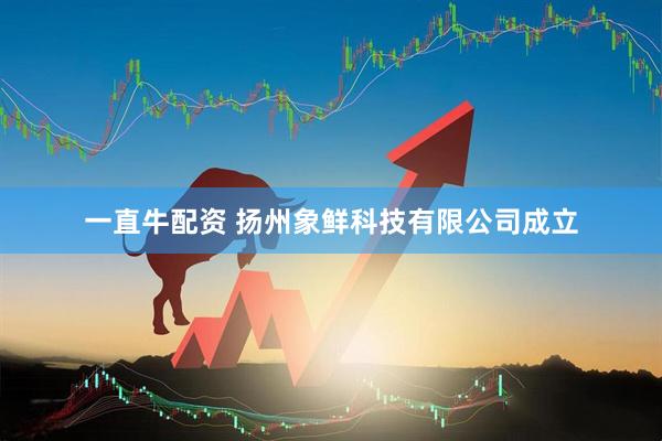 一直牛配资 扬州象鲜科技有限公司成立