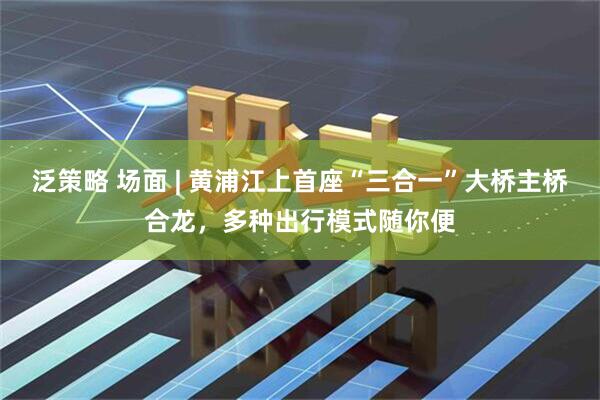 泛策略 场面 | 黄浦江上首座“三合一”大桥主桥合龙，多种出行模式随你便