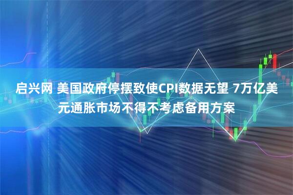 启兴网 美国政府停摆致使CPI数据无望 7万亿美元通胀市场不得不考虑备用方案