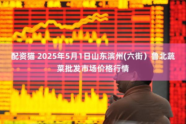 配资猫 2025年5月1日山东滨州(六街）鲁北蔬菜批发市场价格行情